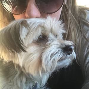 Meet your Posher, Bree